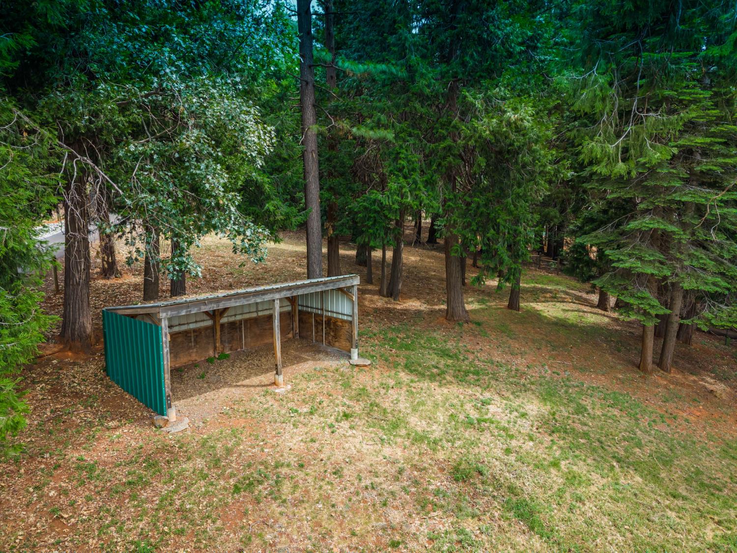 29070 Ridge View Road Foresthill, CA 95631 - Photo 58 of 66