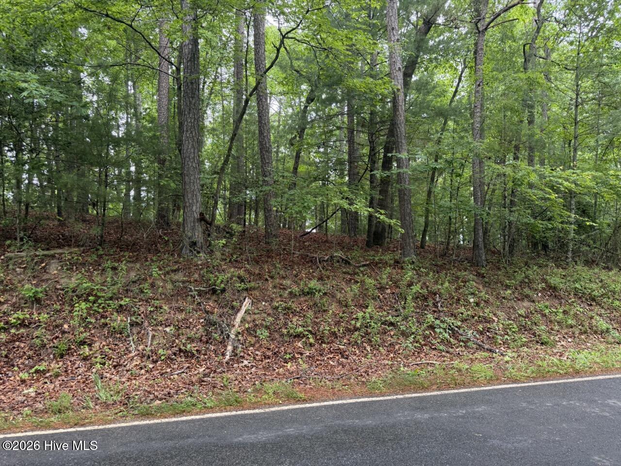 274 Snow Hill Ridge Road Murphy, NC 28906 - Photo 21 of 30