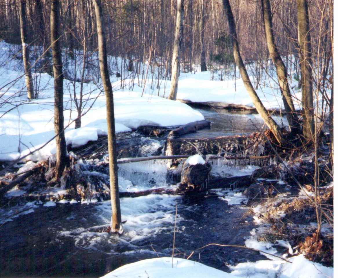 300 Hill Road Temple, NH 03084 - Photo 11 of 21 Gallery Image 11
