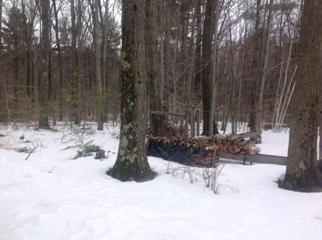 300 Hill Road Temple, NH 03084 - Photo 13 of 21 Gallery Image 13