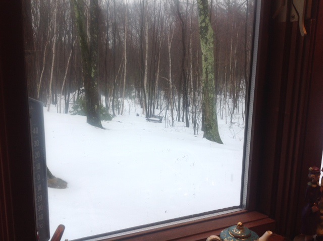 300 Hill Road Temple, NH 03084 - Photo 16 of 21 Gallery Image 16