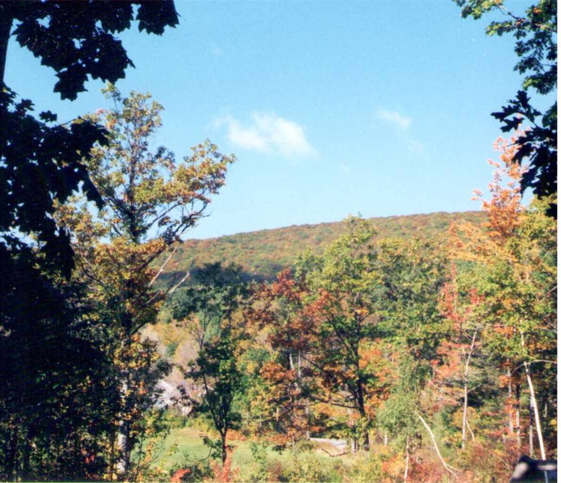 300 Hill Road Temple, NH 03084 - Photo 10 of 21 Gallery Image 10