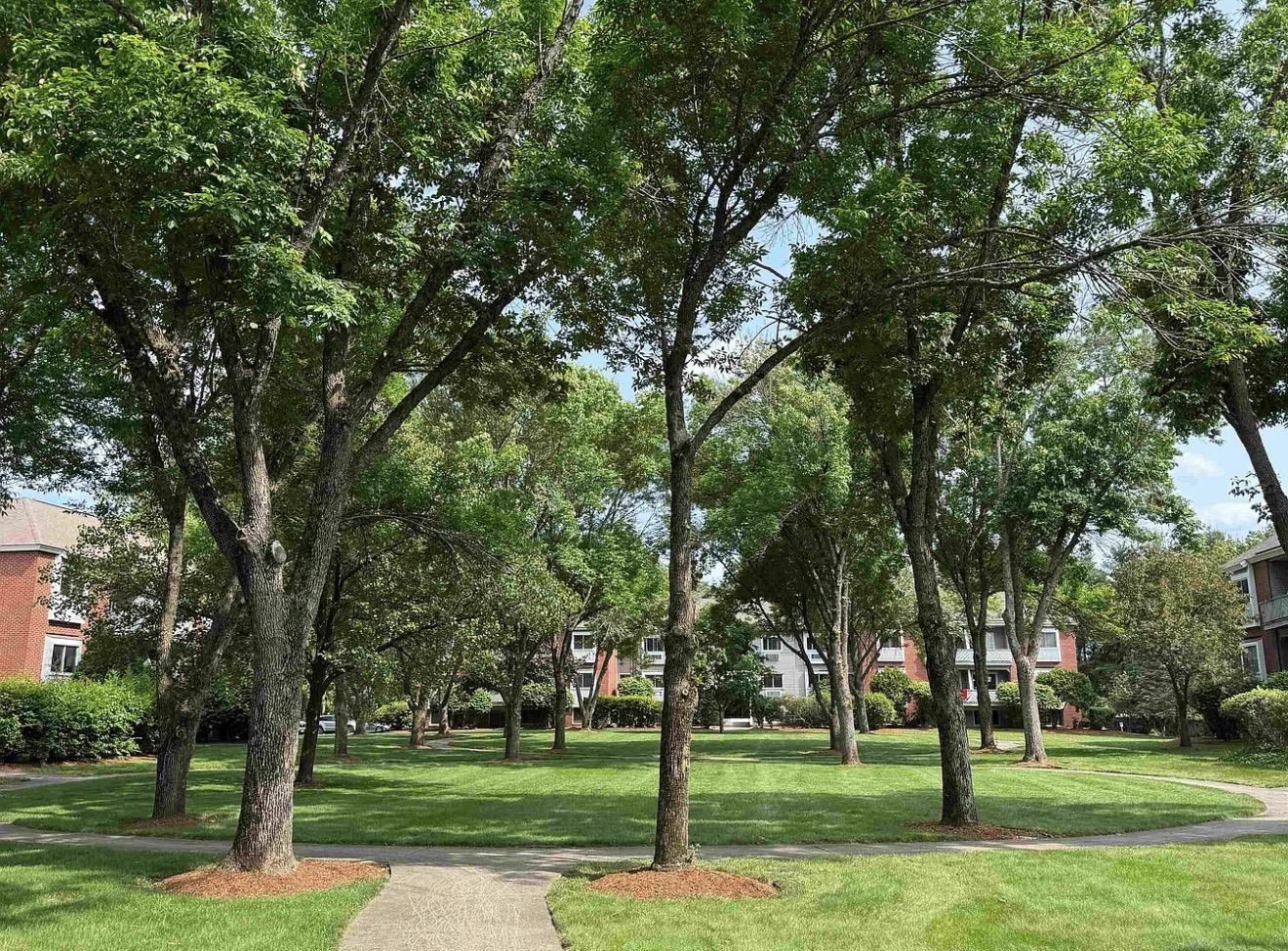 117 Cluff Crossing Road, Unit 7 Salem, NH 03079 - Photo 13 of 15