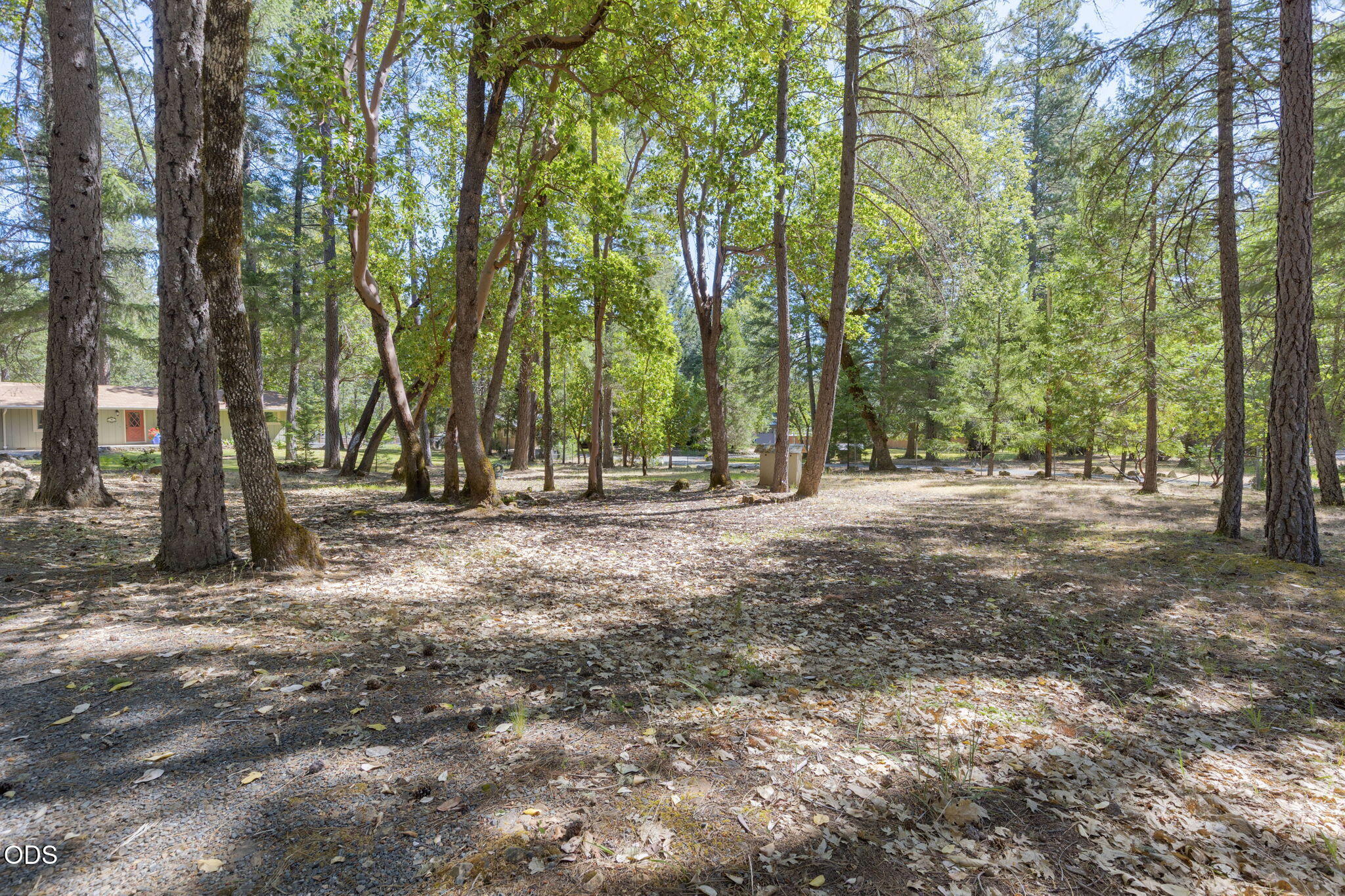 1740 Queens Branch Road Rogue River, OR 97537 - Photo 12 of 63