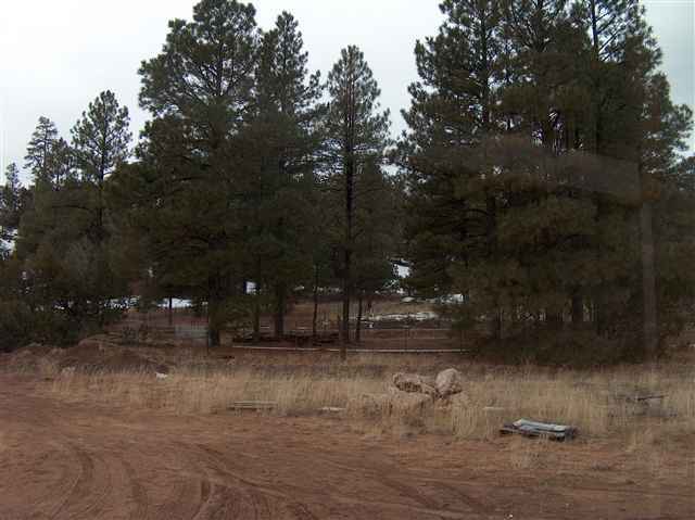 2991 B Buckskin Canyon Road Heber, AZ 85928 - Photo 5 of 5