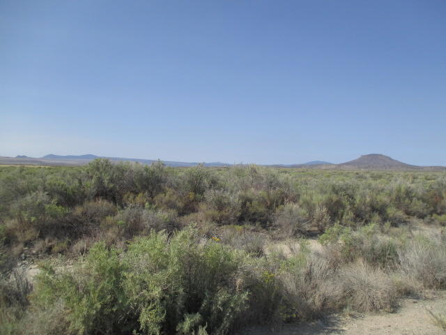 1100 Off S Oil Dri (apn 3075) Road Chiloquin, OR 97624 - Photo 7 of 9 IMG_0355