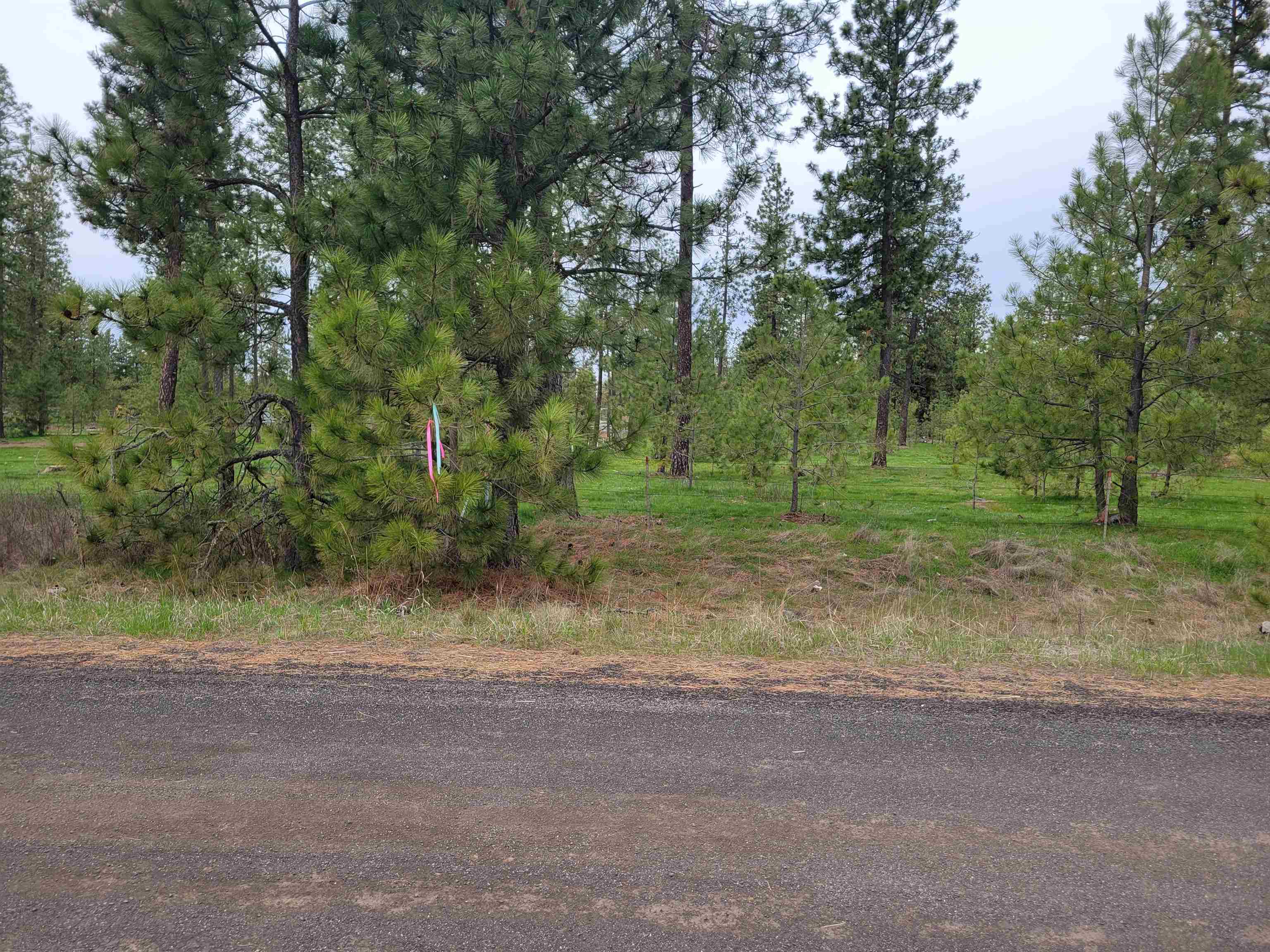 172-xxx South Brooks Road Cheney, WA 99004 - Photo 1 of 7 Gallery Image 1