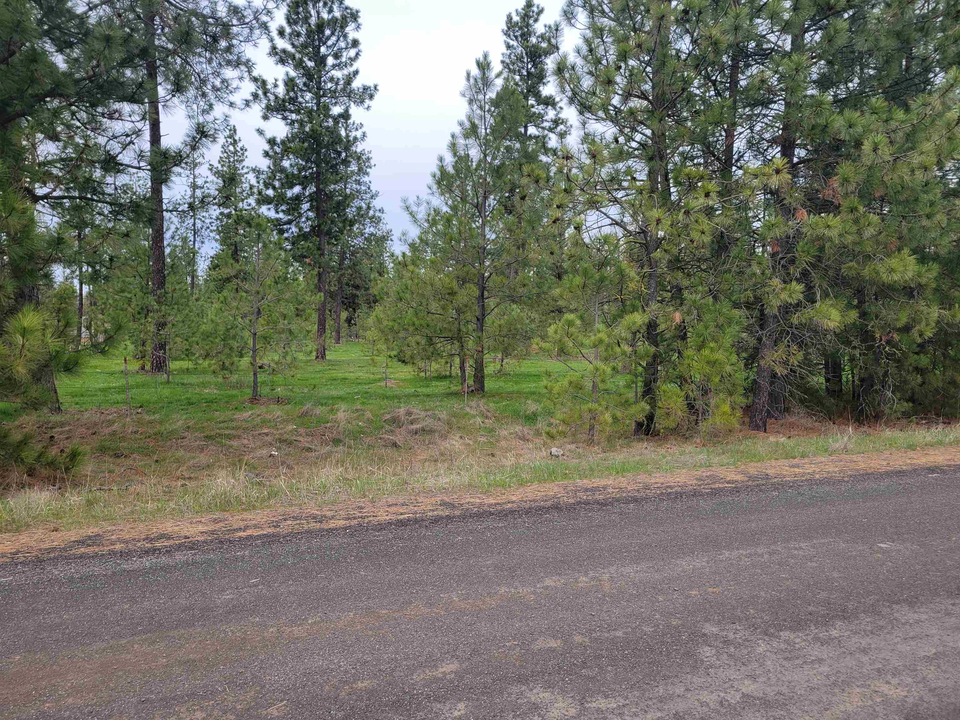 172-xxx South Brooks Road Cheney, WA 99004 - Photo 2 of 7 Gallery Image 2