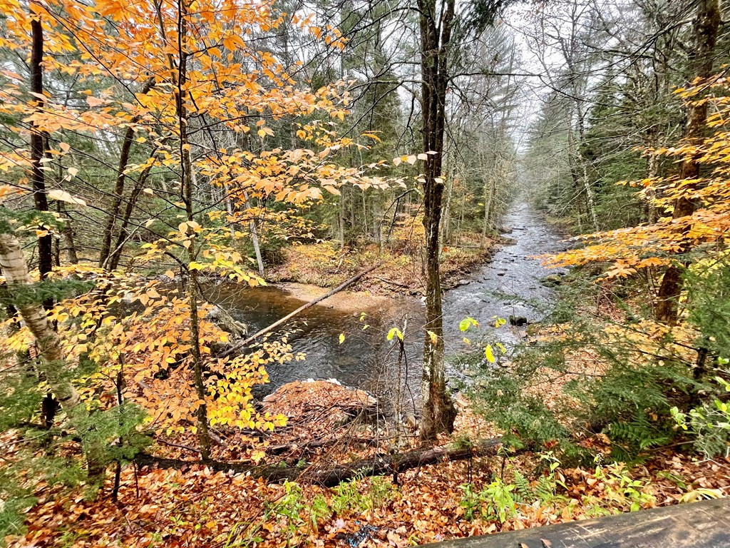 537 True Brook Road Saranac, NY 12981 - Photo 2 of 44 Gallery Image 2