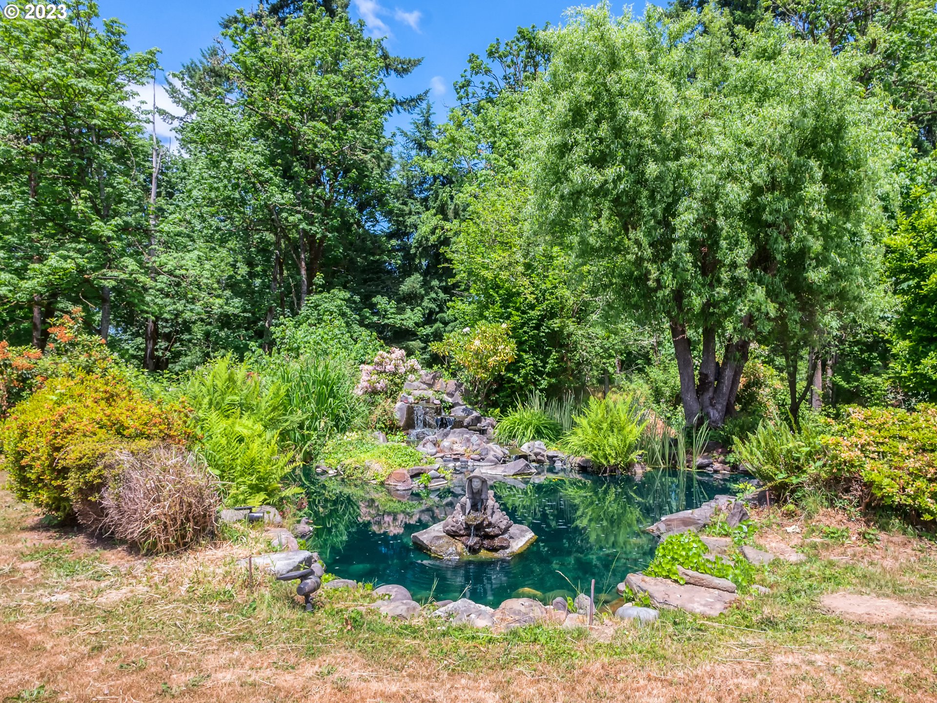 38437 McKenzie Highway Springfield, OR 97478 - Photo 33 of 48 a bunch of trees and bushes
