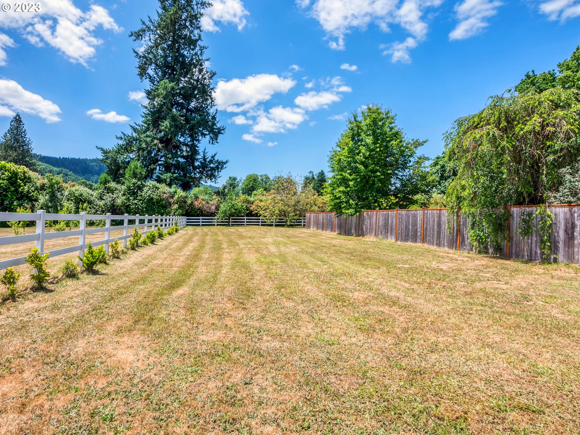 38437 McKenzie Highway Springfield, OR 97478 - Photo 38 of 48 a view of a backyard of the house