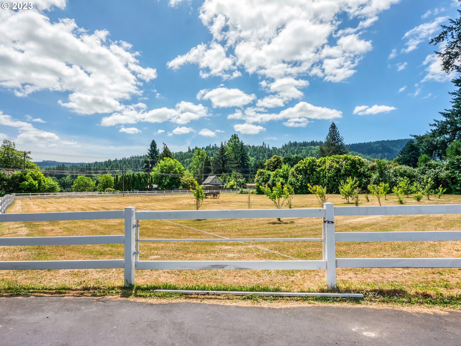 38437 McKenzie Highway Springfield, OR 97478 - Photo 39 of 48 a view of a basket ball ground and trees in the background