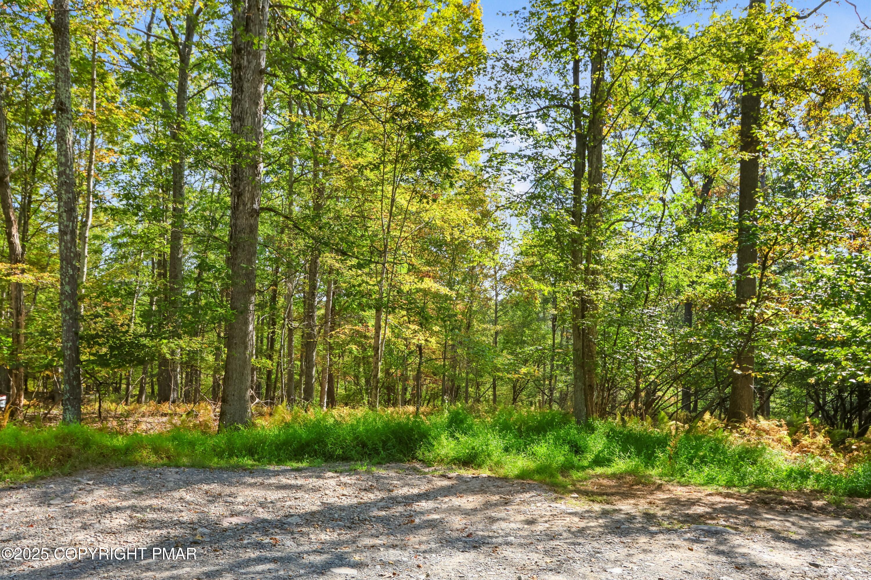 17 Spring Run Lane Cresco, PA 18326 - Photo 2 of 6 095A9750