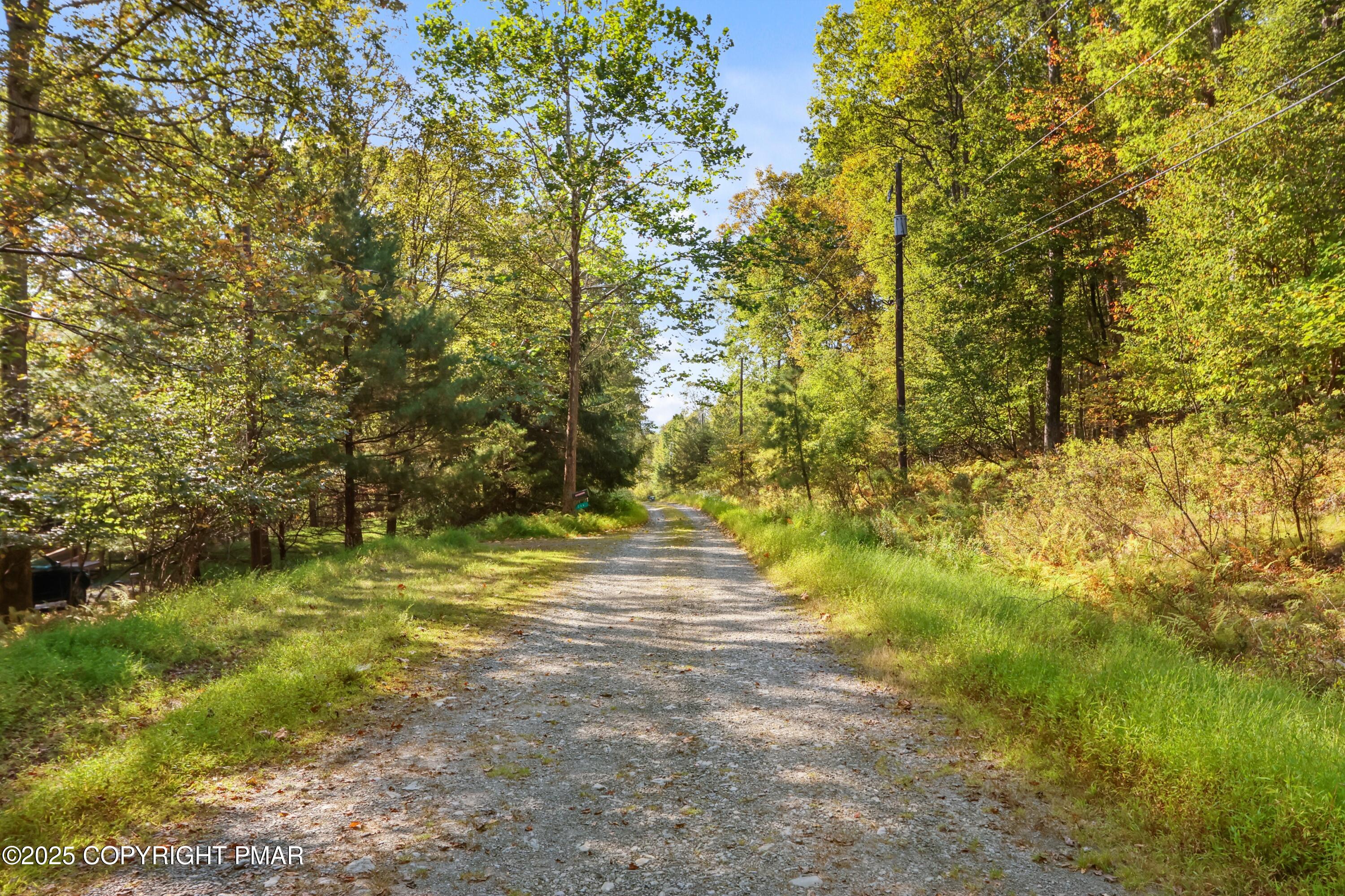17 Spring Run Lane Cresco, PA 18326 - Photo 3 of 6 095A9760(1)