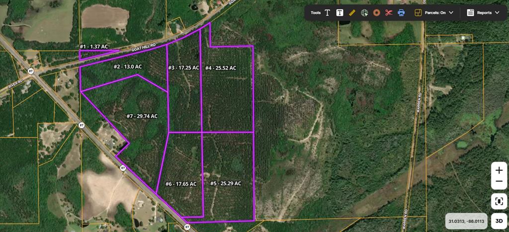 13-acres Goat Hill Road Samson, AL 36477 - Photo 16 of 19