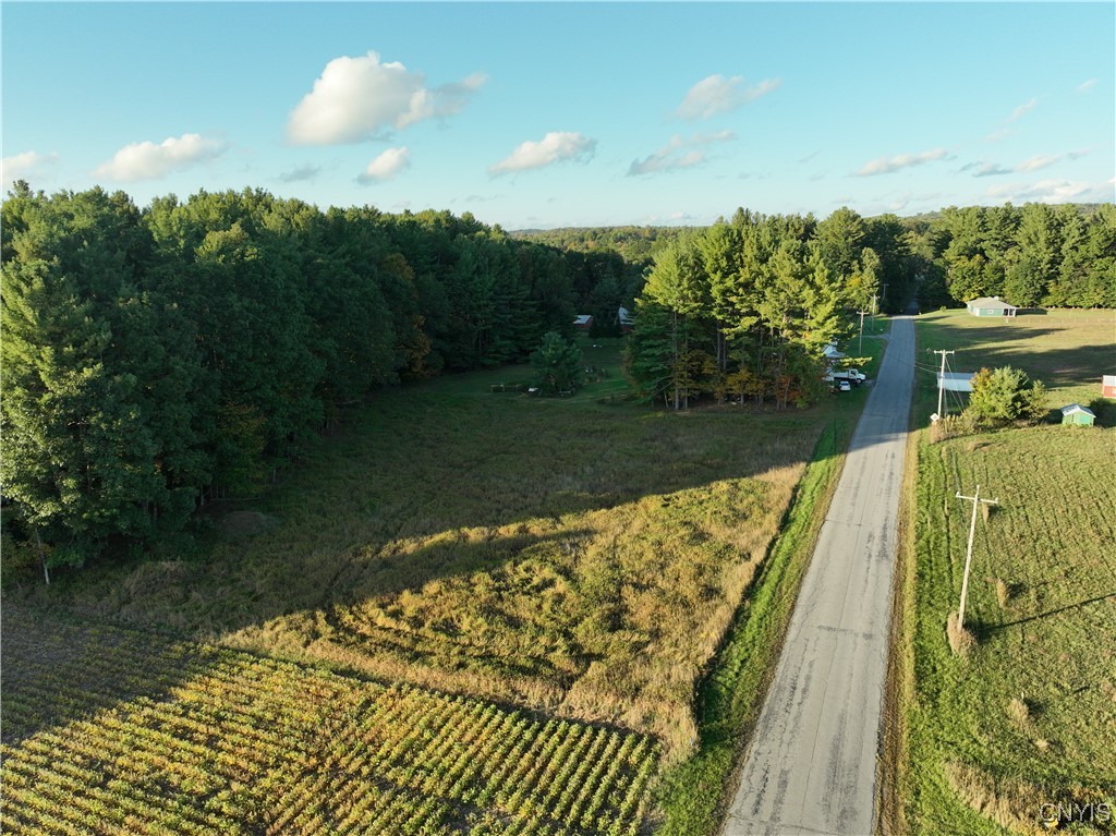 9550 Brewer Road Camden, NY 13316 - Photo 2 of 6