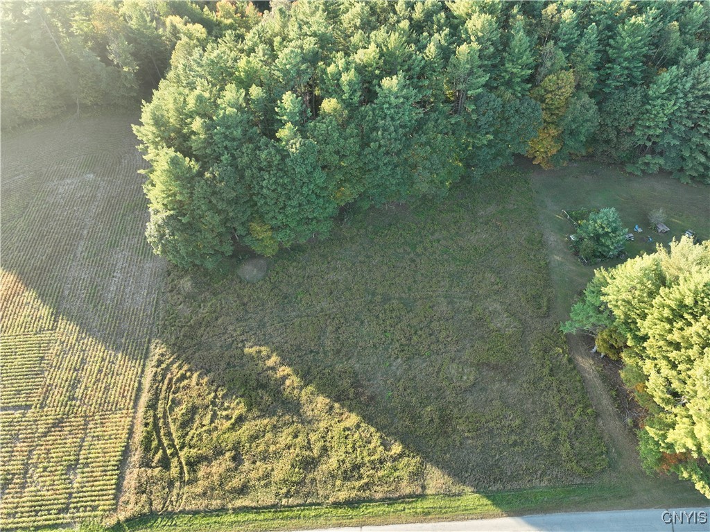 9550 Brewer Road Camden, NY 13316 - Photo 5 of 6