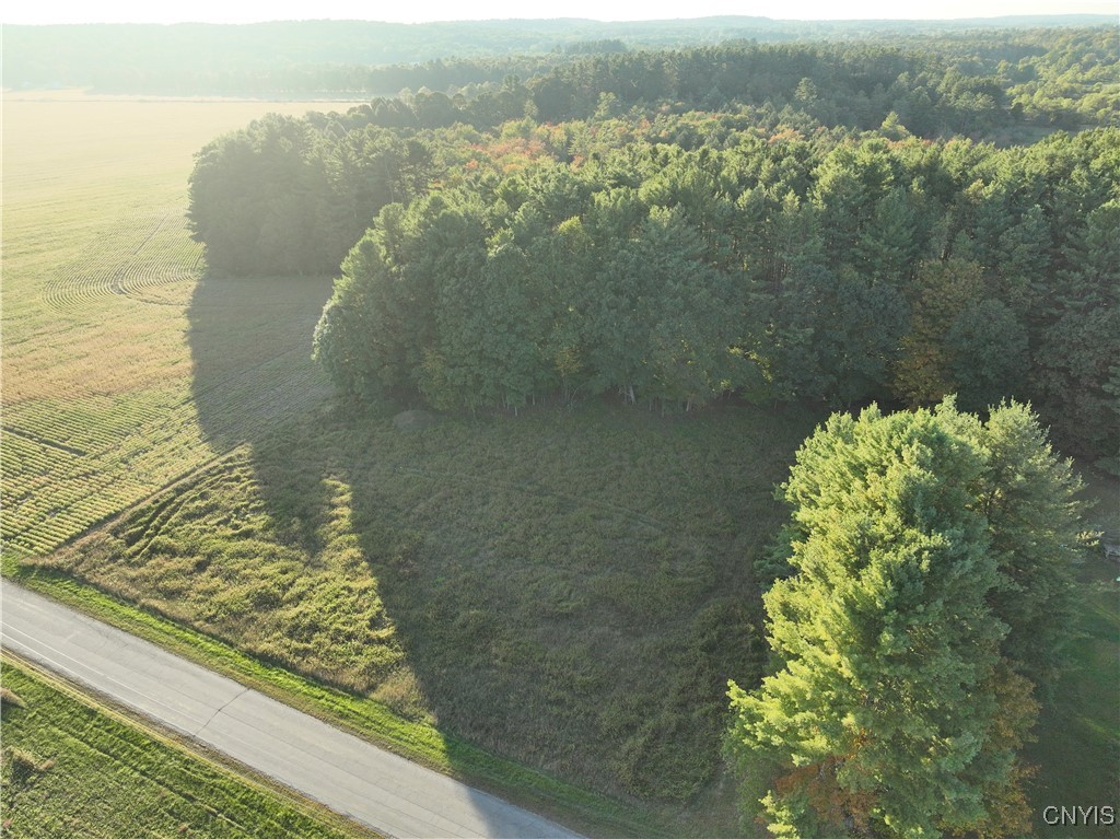 9550 Brewer Road Camden, NY 13316 - Photo 6 of 6