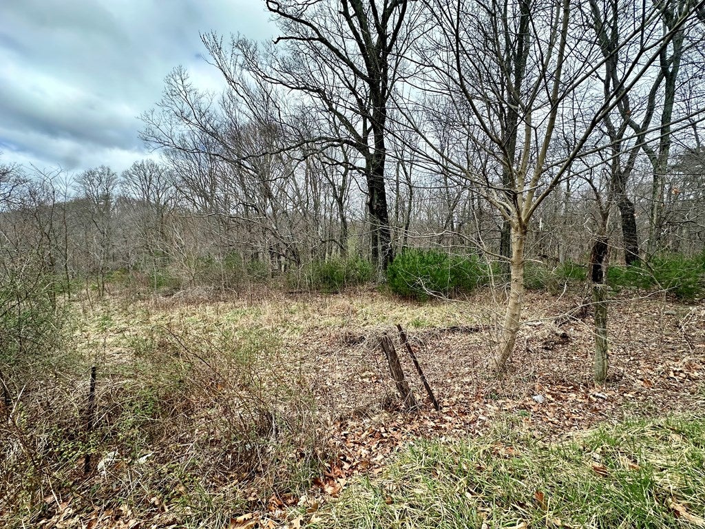 Tbd Mill Creek Road, Unit 2 Chilhowie, VA 24319 - Photo 8 of 19 Gallery Image 8