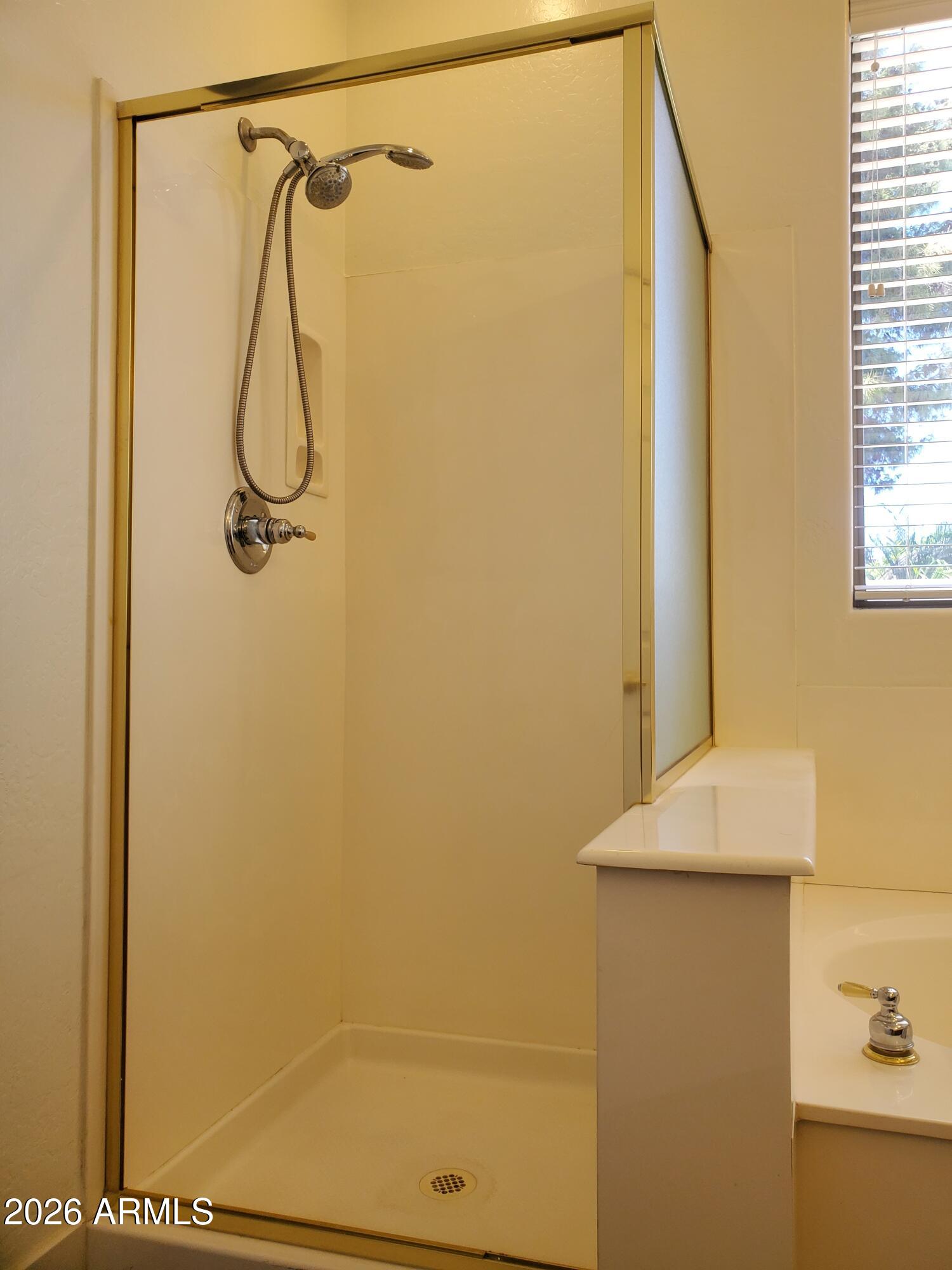 2430 East Darrel Road Phoenix, AZ 85042 - Photo 33 of 64 Primary Bathroom