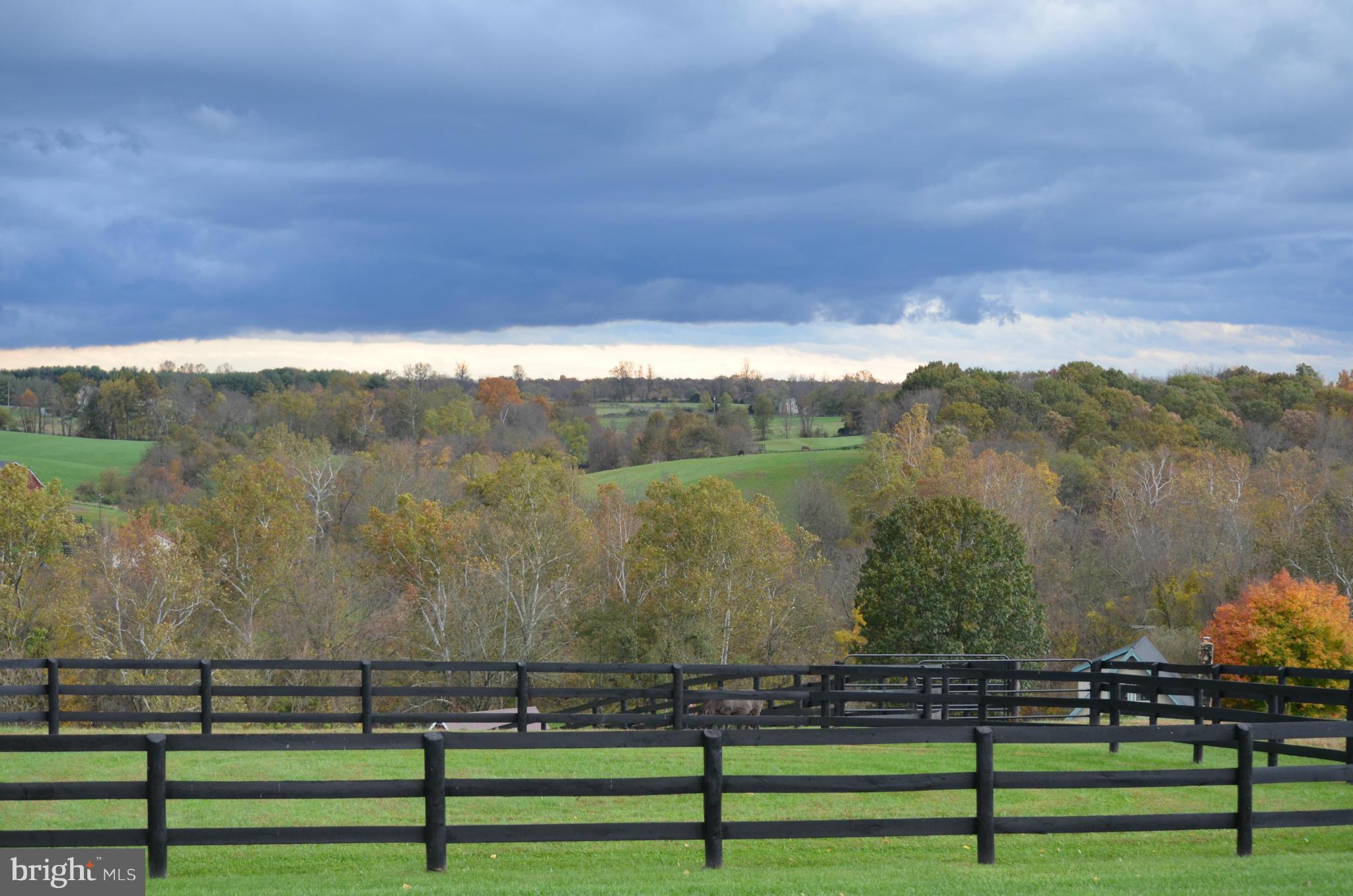 20628 St Louis Road Purcellville, VA 20132 - Photo 25 of 30 View