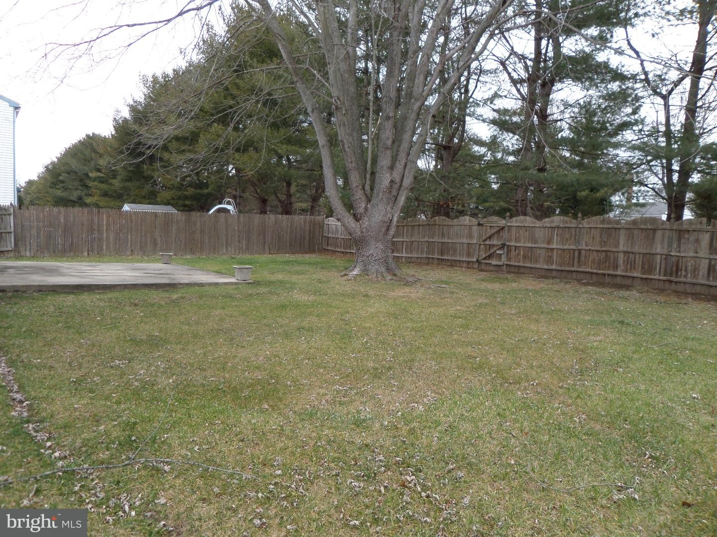 77 Euston Road South Evesham, NJ 08053 - Photo 14 of 17 Back Yard