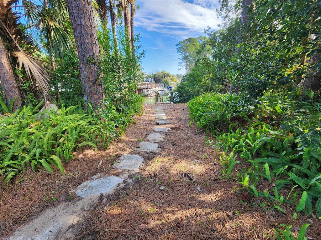 3627 Canal Road Edgewater, FL 32141 - Photo 6 of 18