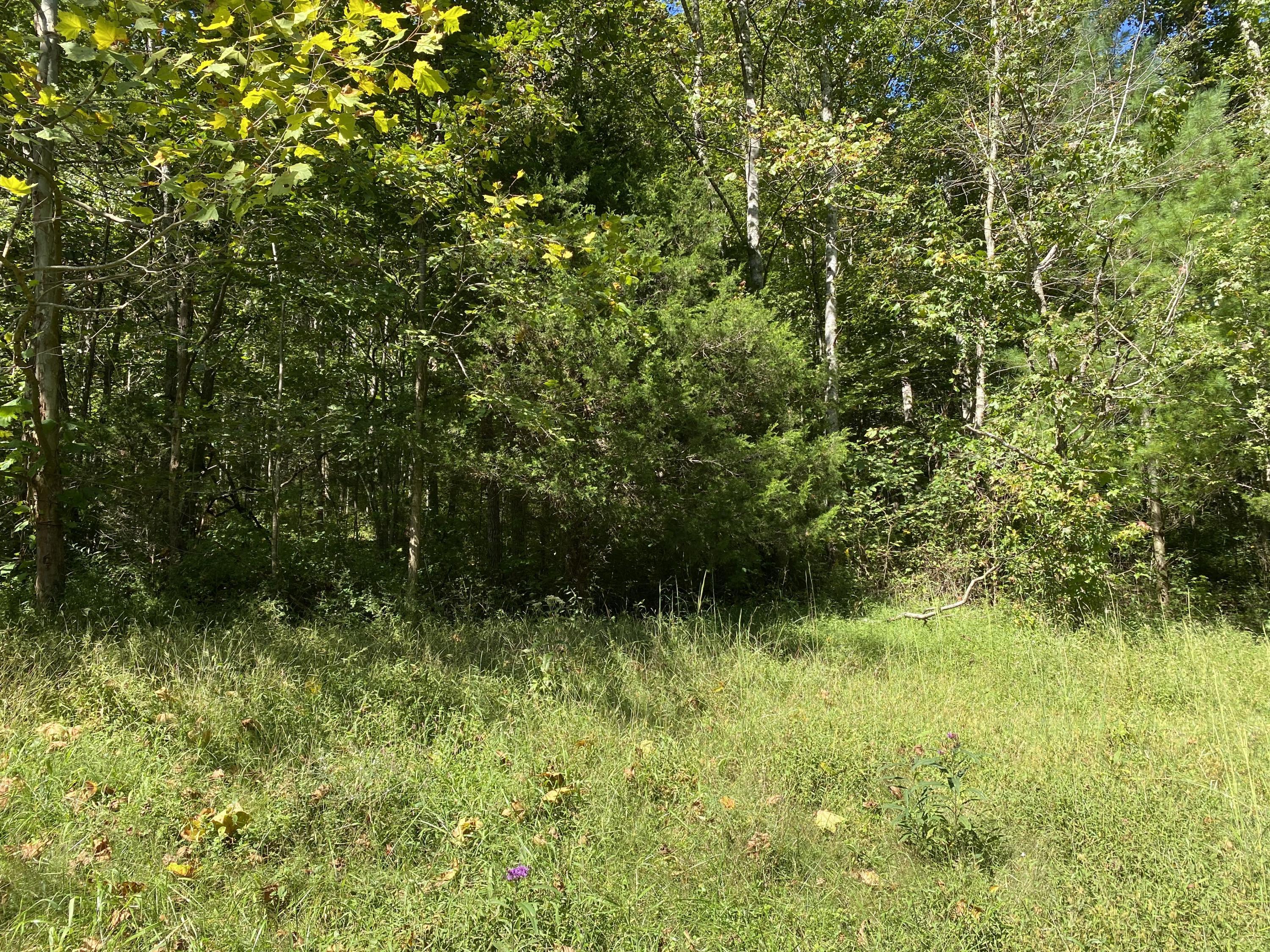 2734 Woods Creek Road Liberty, KY 42539 - Photo 1 of 8 Photo Sep 21, 10 38 26 AM
