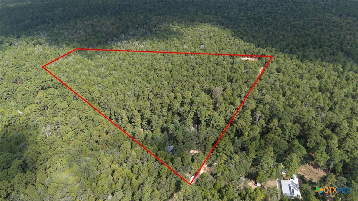 128 Barras Road Paige, TX 78659 - Photo 12 of 12 a close up of a plant