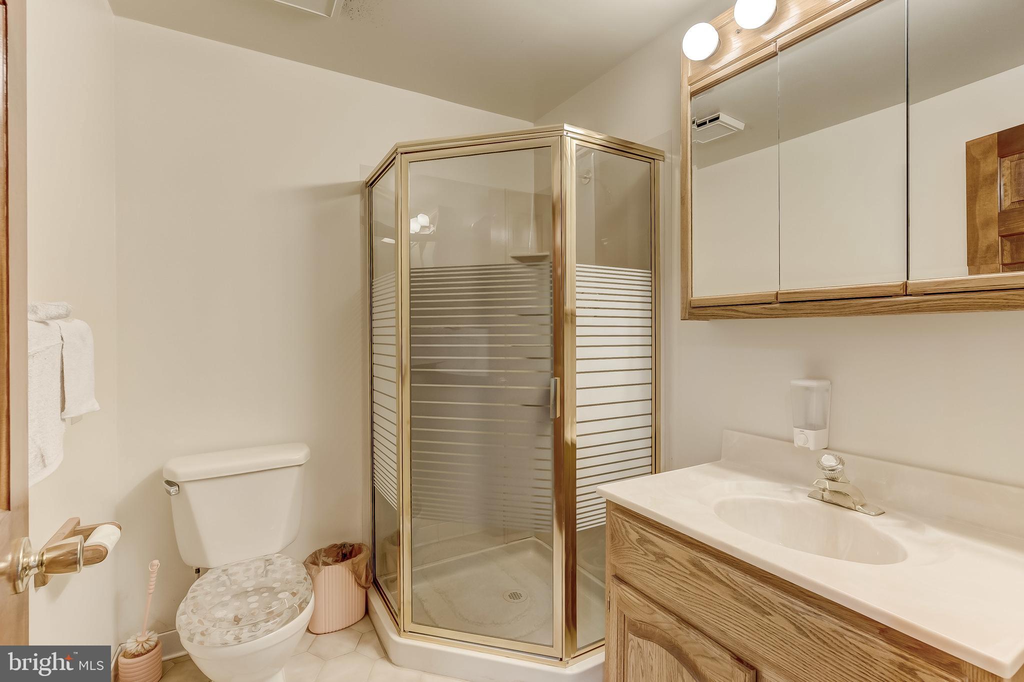 660 Bryants Nursery Road Silver Spring, MD 20905 - Photo 50 of 69 Lower level full bathroom