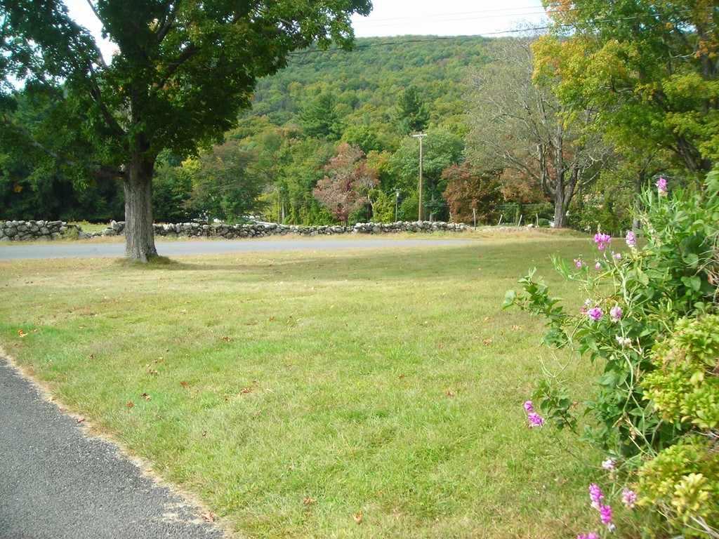 67 Chesterfield Road Westhampton, MA 01027 - Photo 4 of 7 a view of yard with trees