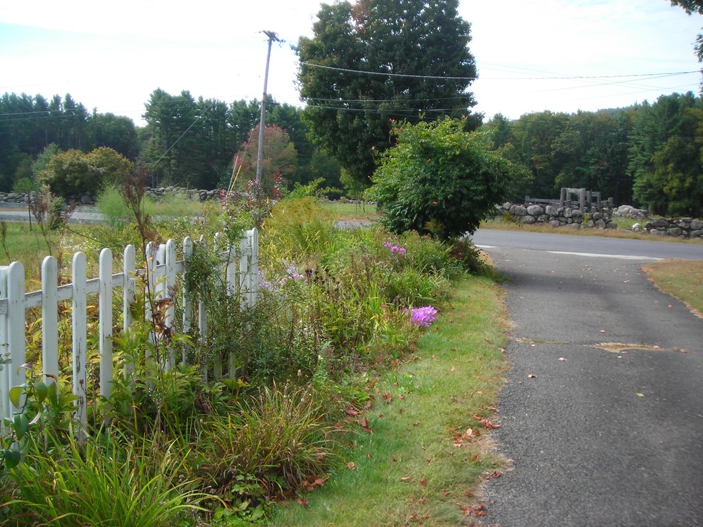 67 Chesterfield Road Westhampton, MA 01027 - Photo 7 of 7 a view of outdoor space and yard