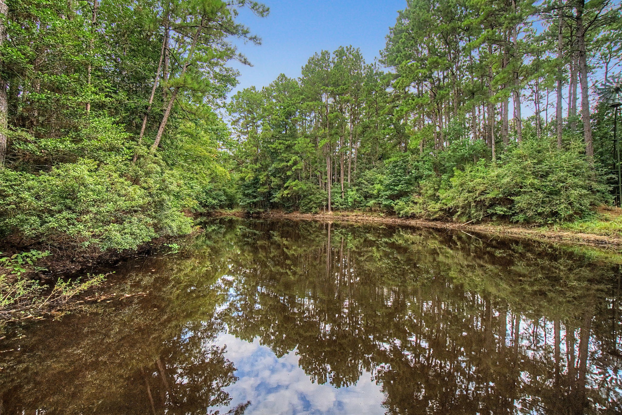 272 Tom Marsh Road Livingston, TX 77351 - Photo 39 of 50 Stocked Pond
