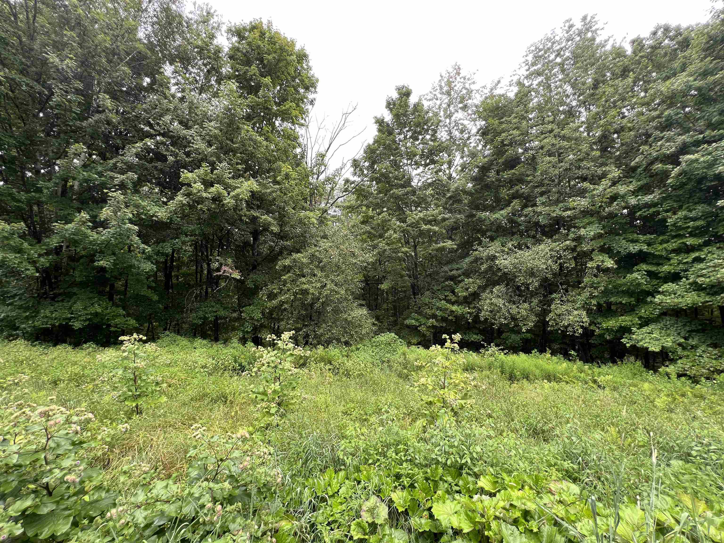 2218 Kenniston Hill Road Wheelock, VT 05866 - Photo 11 of 24 Gallery Image 11