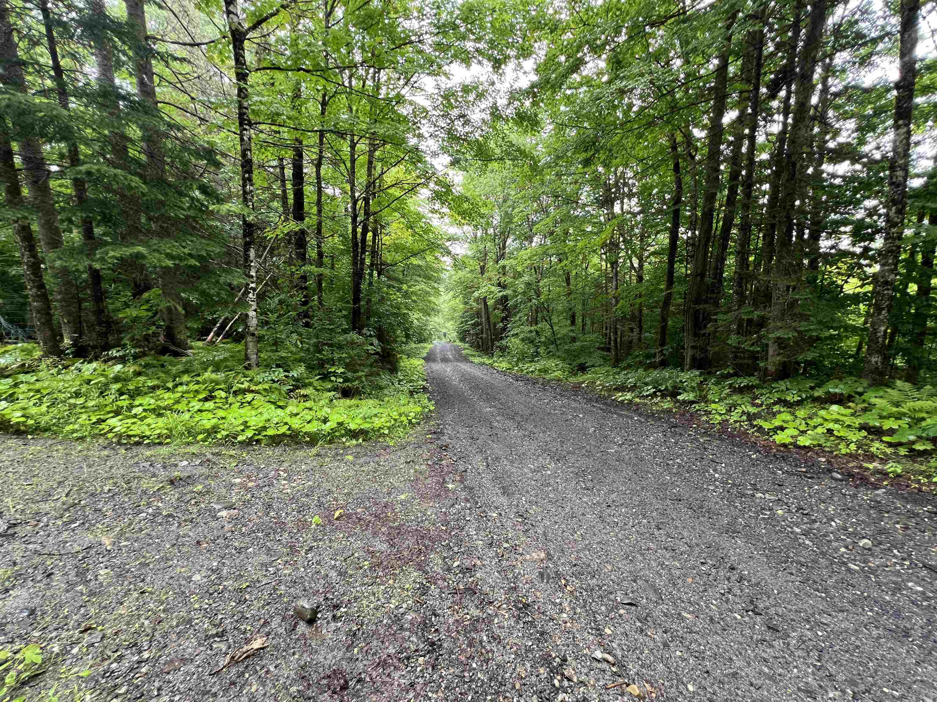 2218 Kenniston Hill Road Wheelock, VT 05866 - Photo 12 of 24 Gallery Image 12