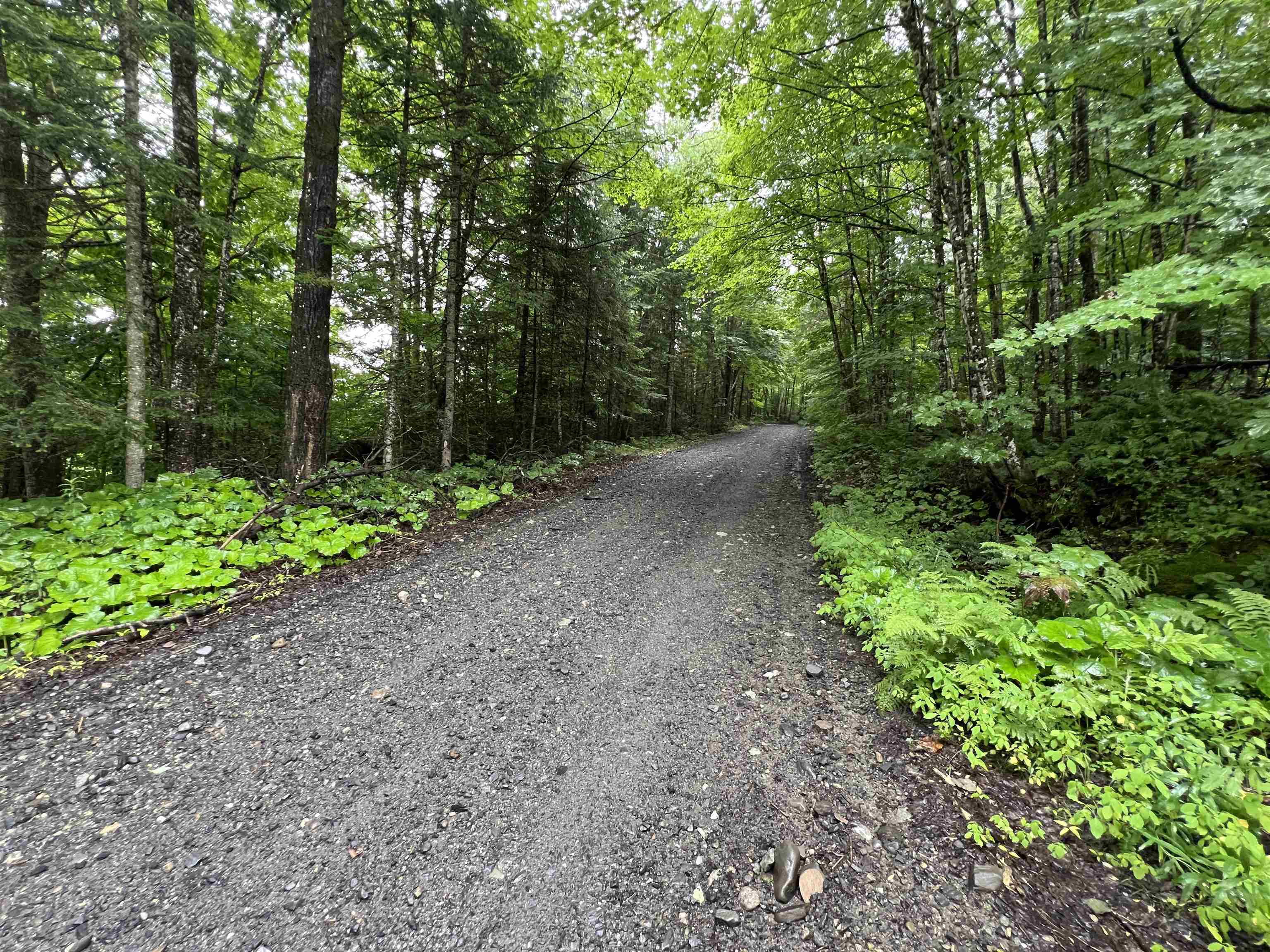 2218 Kenniston Hill Road Wheelock, VT 05866 - Photo 14 of 24 Gallery Image 14