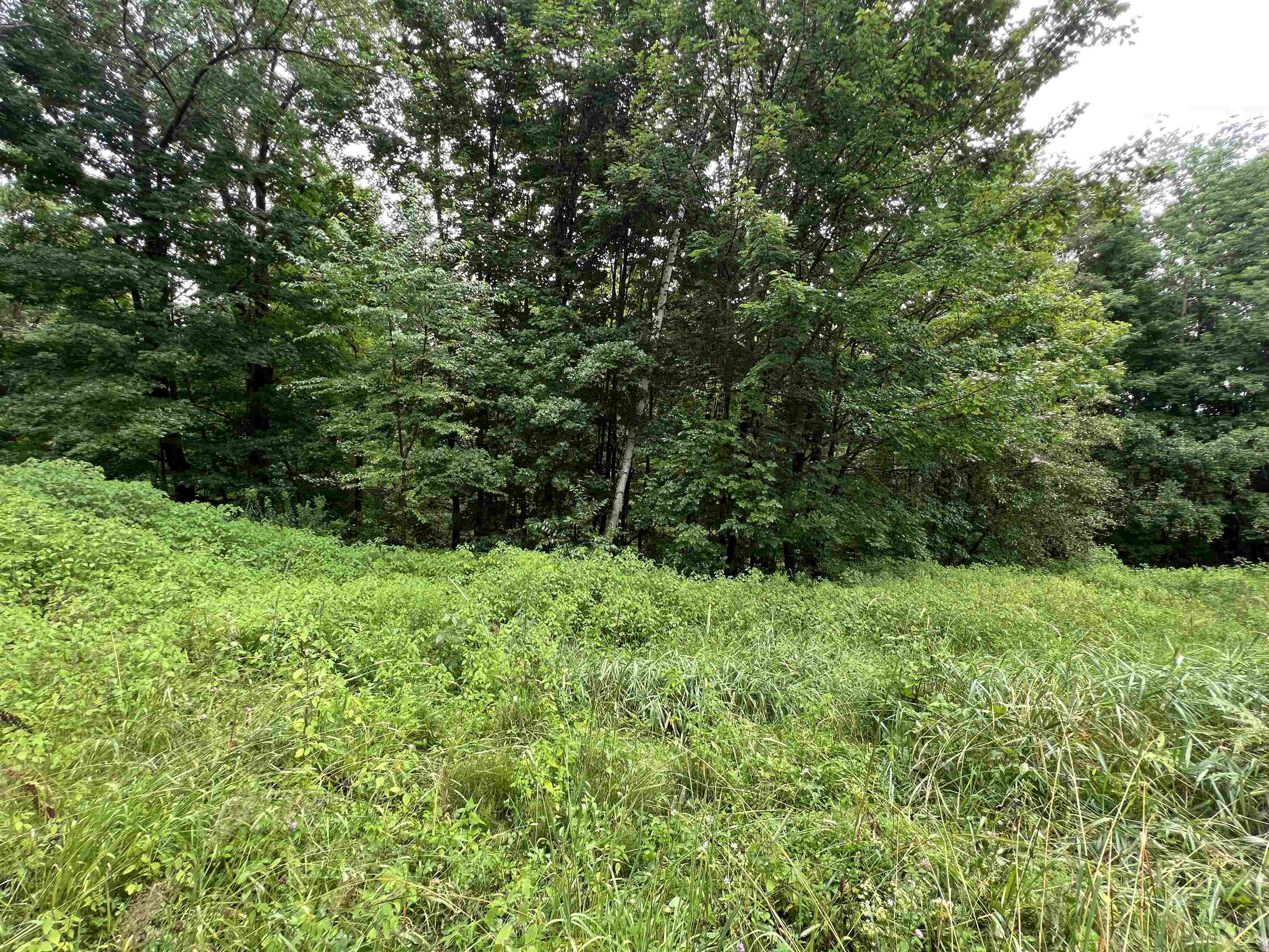 2218 Kenniston Hill Road Wheelock, VT 05866 - Photo 10 of 24 Gallery Image 10