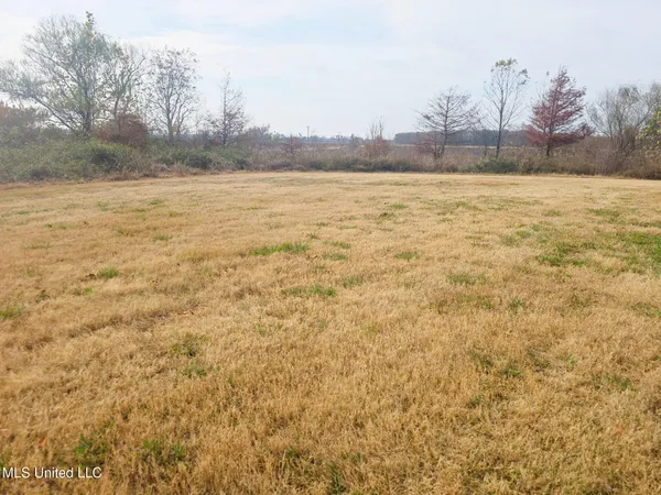 $49,900 | 664 County Line Road West, Greenville, MS 38703