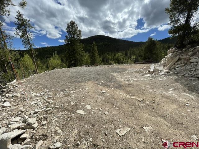1675 Chicago Park Road Pitkin, CO 81241 - Photo 8 of 9