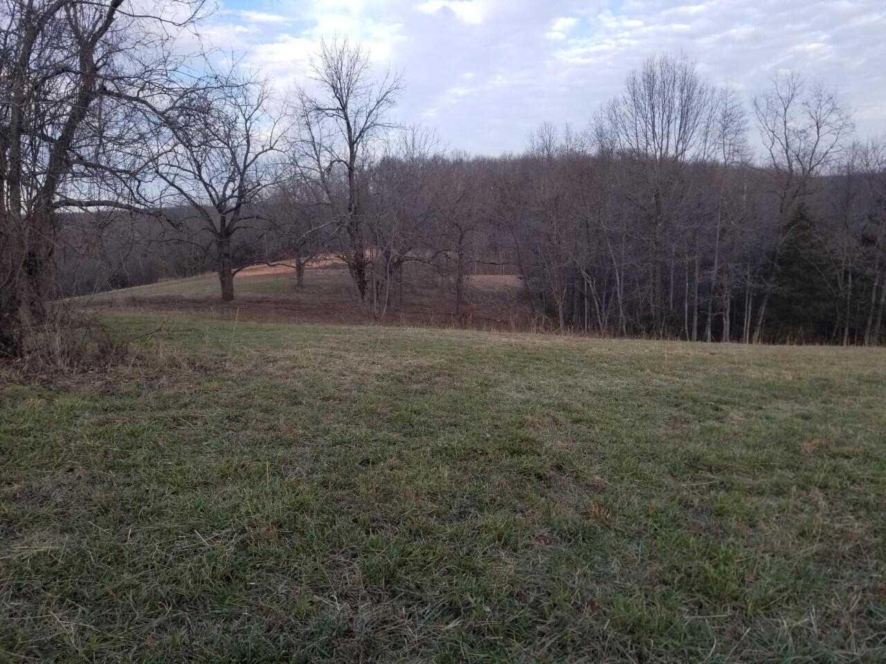 Schlessman new pic 5