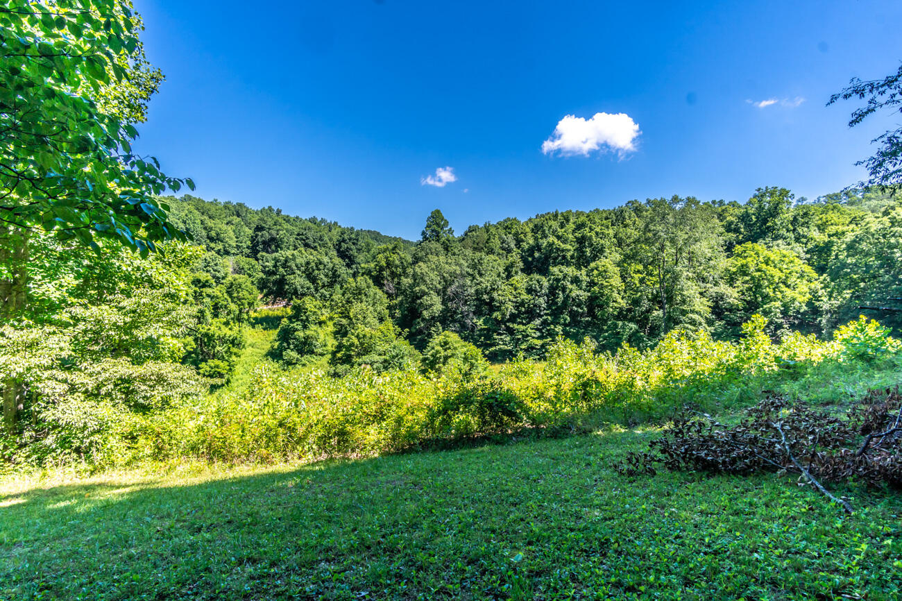 11129 Highway 1036 Road Irvine, KY 40336 - Photo 26 of 45 122