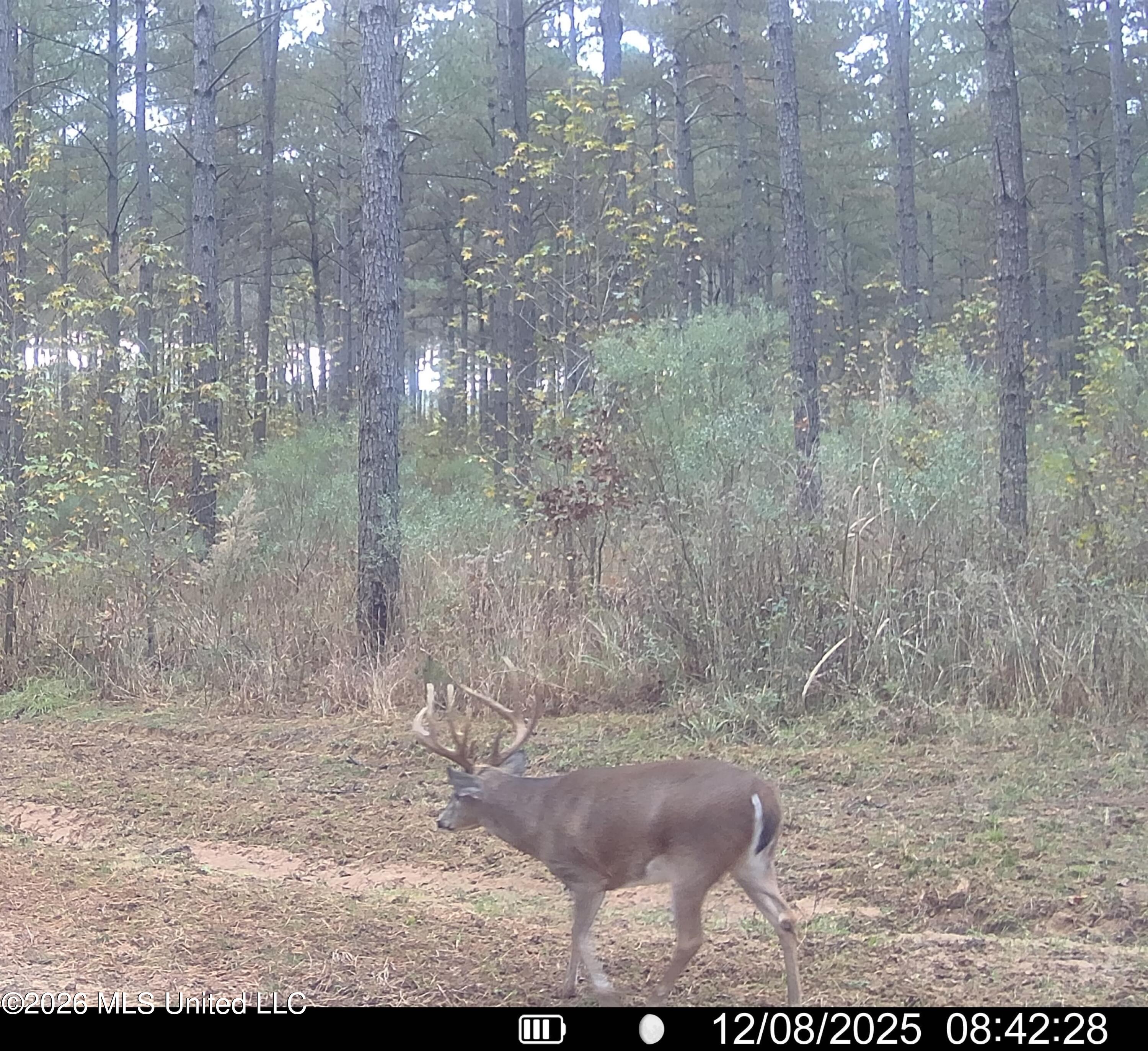 425 Rose Hill Road Bentonia, MS 39040 - Photo 63 of 150 151C08F9-2382-4D53-A0B6-804D279F9716_1_2