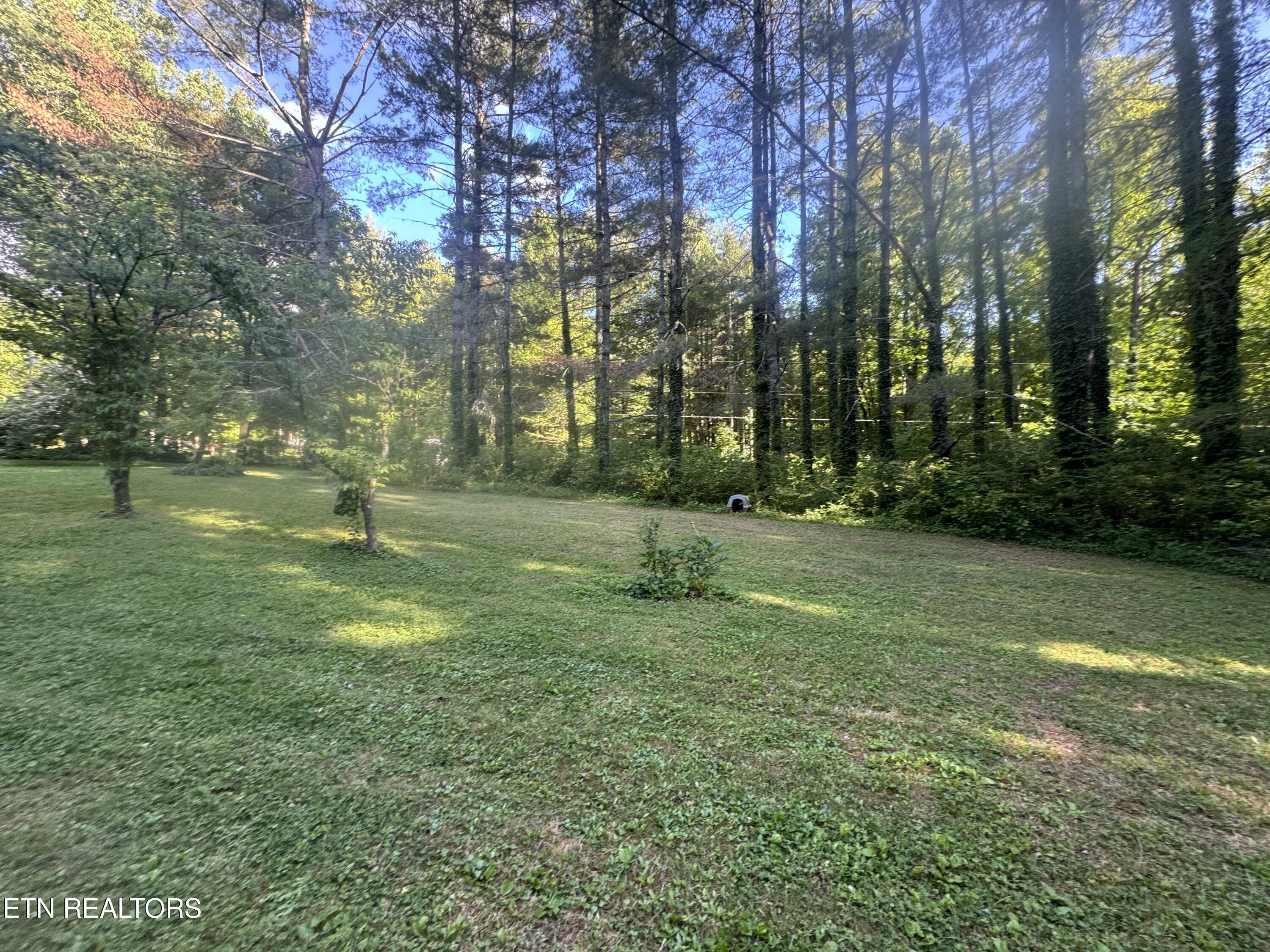 992 Chicken Hollow Road Newport, TN 37821 - Photo 22 of 37 IMG_8597