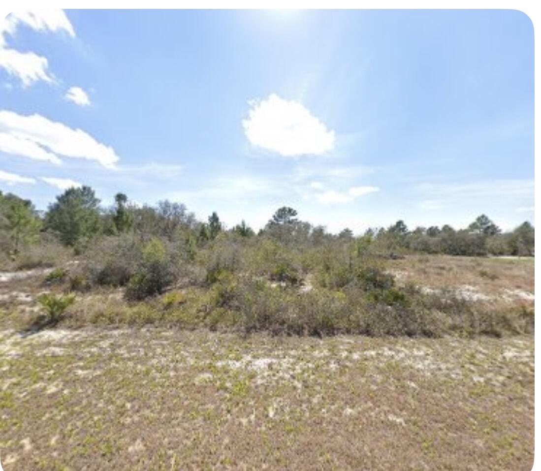 2800 West Kevin Road Avon Park, FL 33825 - Photo 3 of 8 a view of a lake in middle of a field
