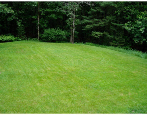 8 Regis Road Andover, MA 01810 - Photo 16 of 16 a view of a backyard with a garden