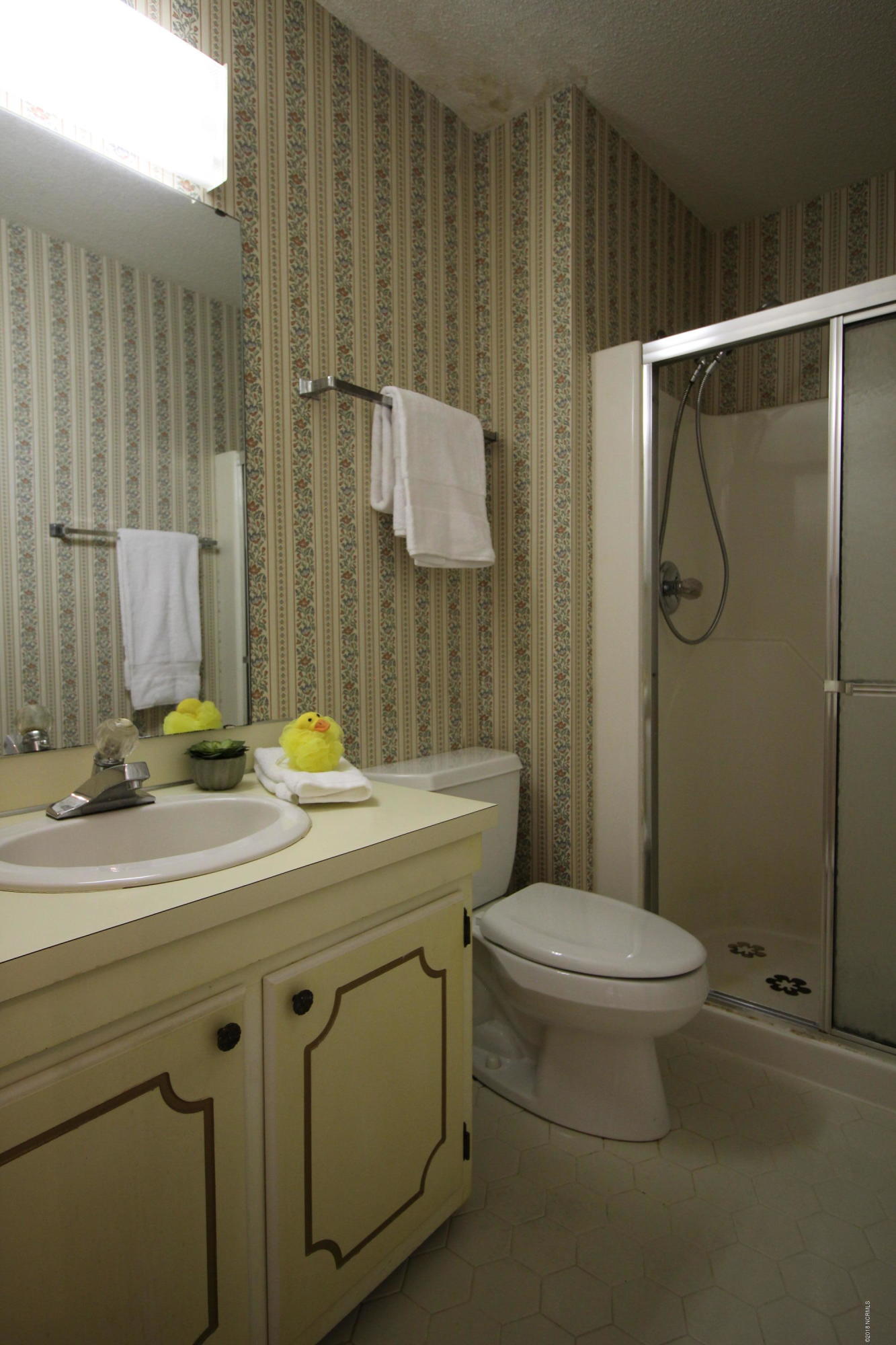 1866 Quail Ridge Road, Unit M Greenville, NC 27858 - Photo 24 of 31 Hall Bath w/Shower