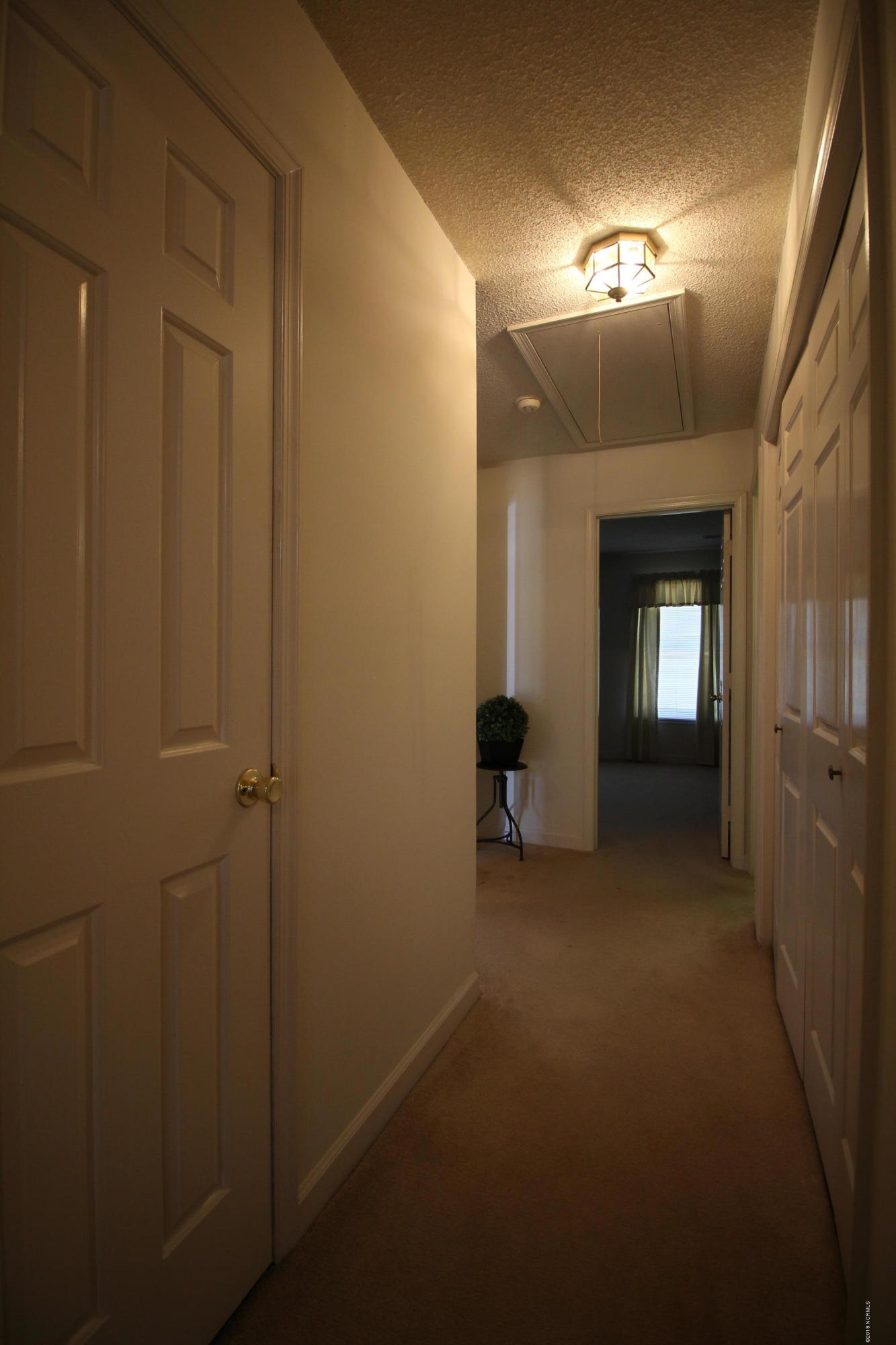 1866 Quail Ridge Road, Unit M Greenville, NC 27858 - Photo 30 of 31 Bedroom Hall from Master