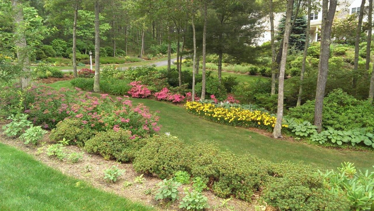 15 Harbor Ridge Road Mashpee, MA 02649 - Photo 7 of 27 a view of a garden with plants