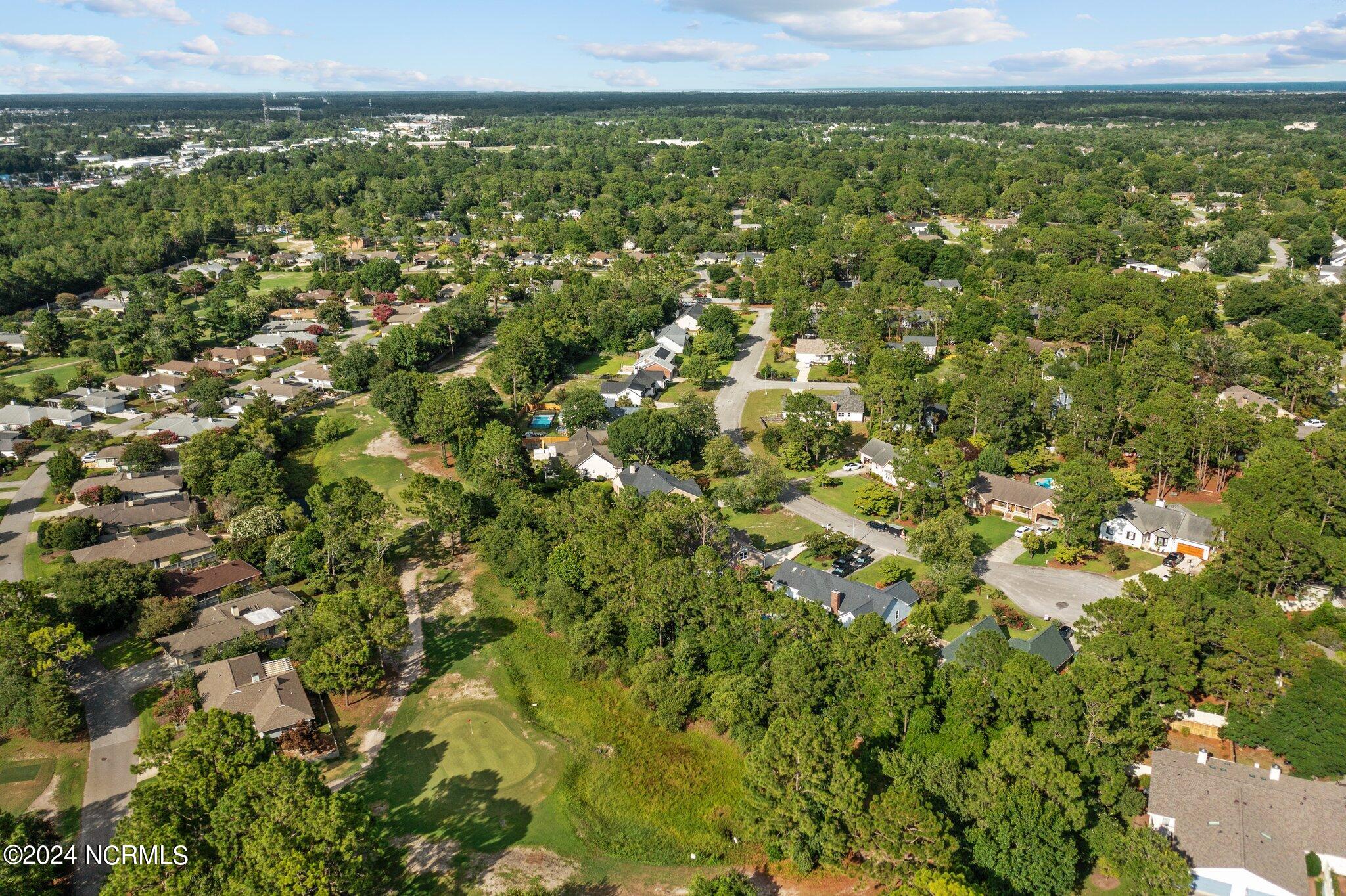 301 Wiregrass Road Wilmington, NC 28405 - Photo 47 of 47 52-web-or-mls-DJI_0899