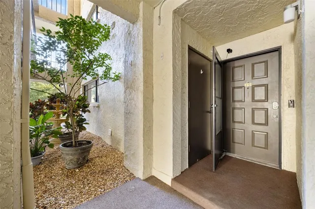 a view of a hallway with wooden floor and a potted plant